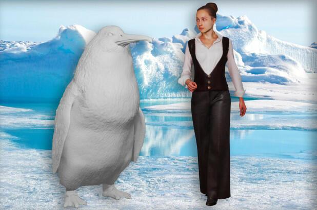 Penguin size comparison