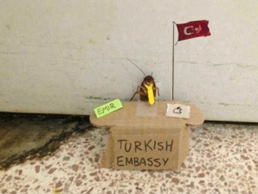 turkish embassy (real)