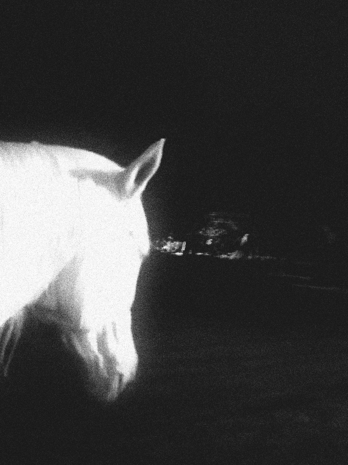 Don't forget I'm here with you in the dark 