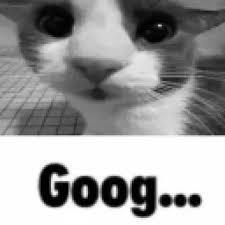 I just saw that 4chan is back, cool, i guess?